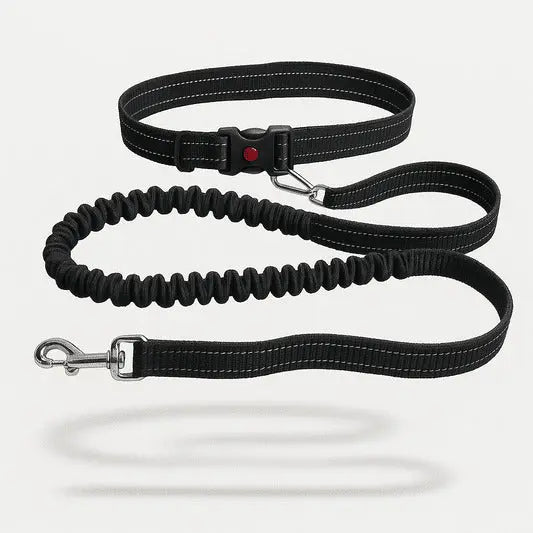 Ceinture Laisse Main Libre Pour Chien