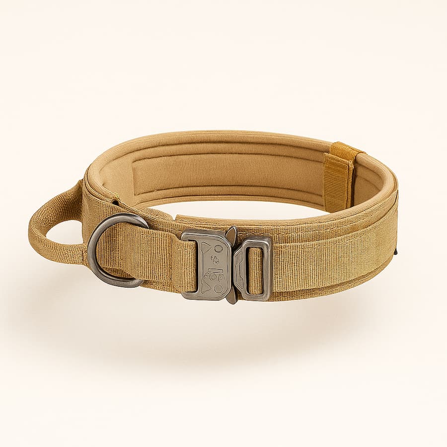 Harnais Tactique Pour Chien | Collier ou Ensemble Avec Laisse