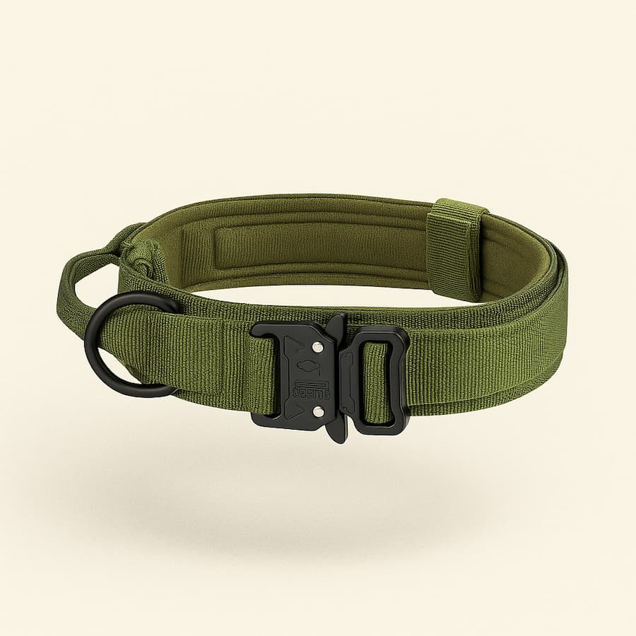 Harnais Tactique Pour Chien | Collier ou Ensemble Avec Laisse