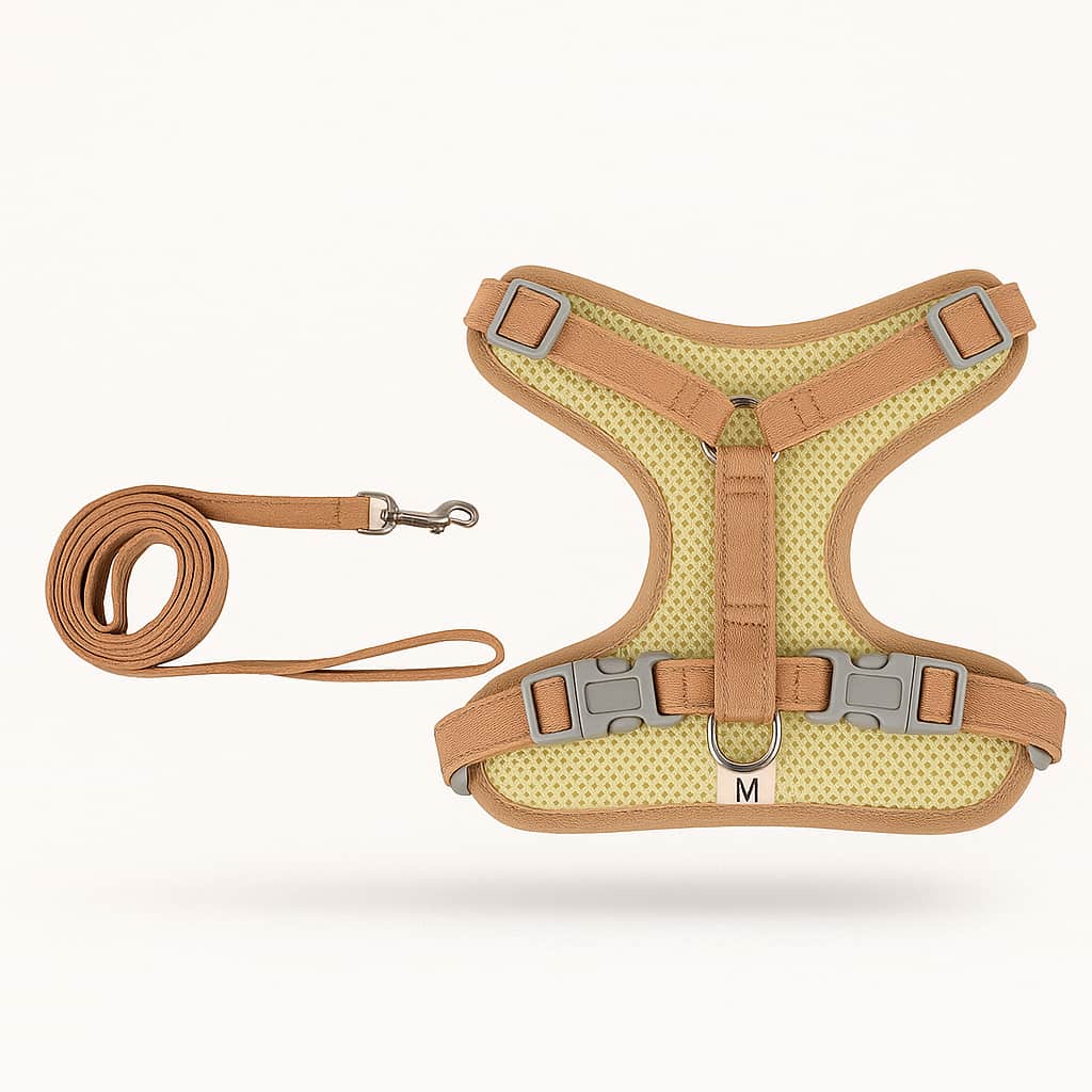 Harnais Pour Petit Chien Avec Laisse