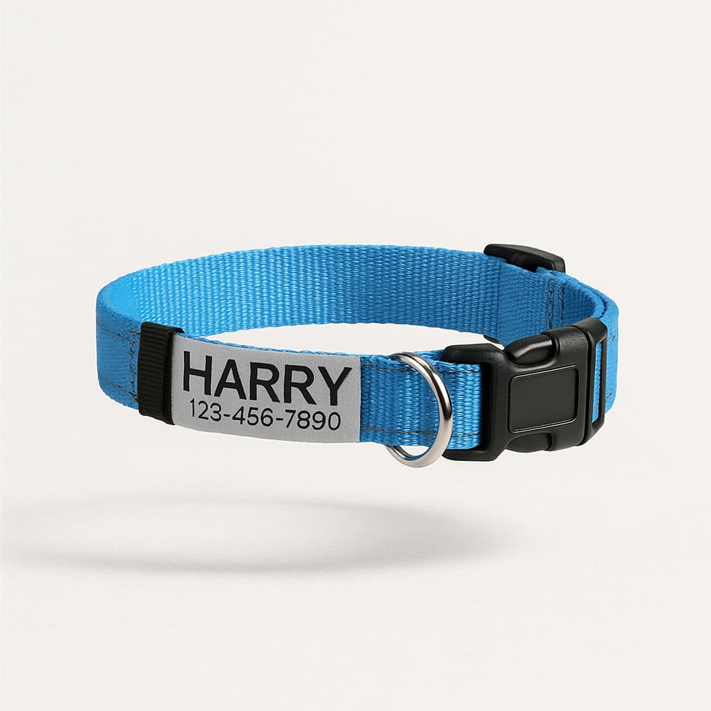 Collier Réfléchissant Personnalisé Pour Chien