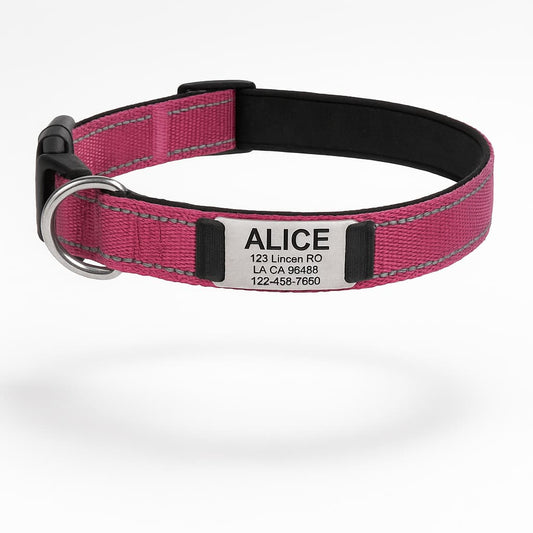 Collier Réfléchissant Personnalisé Pour Chien