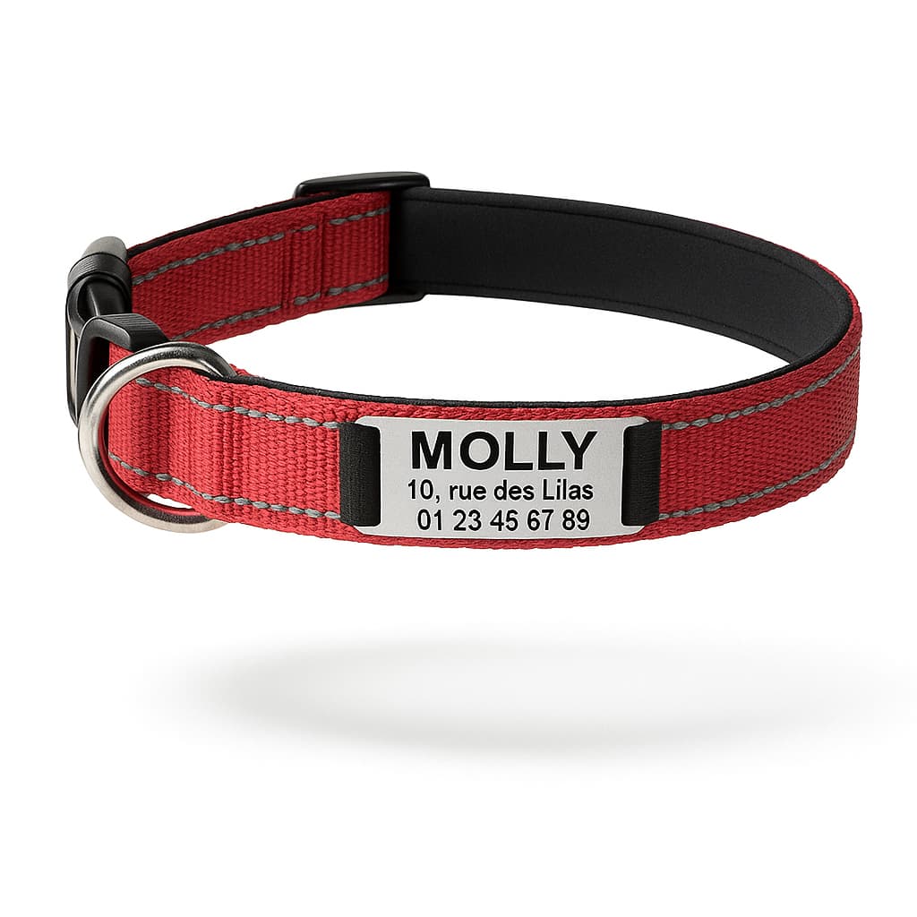 Collier Réfléchissant Personnalisé Pour Chien