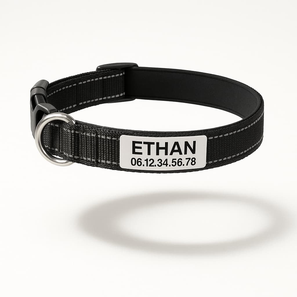 Collier Réfléchissant Personnalisé Pour Chien