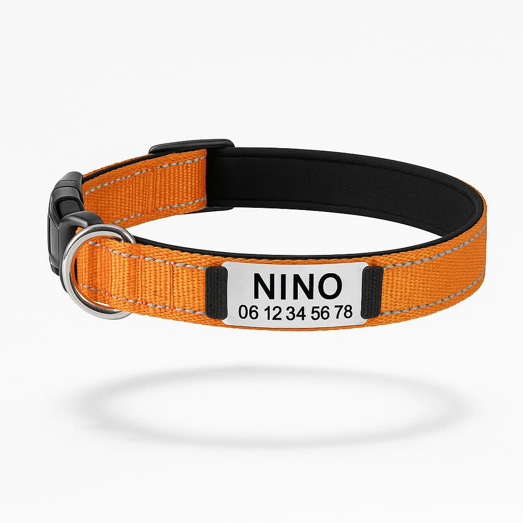 Collier Réfléchissant Personnalisé Pour Chien