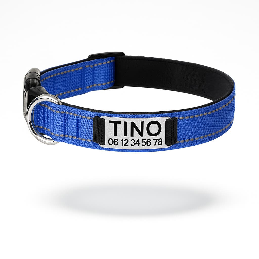 Collier Réfléchissant Personnalisé Pour Chien