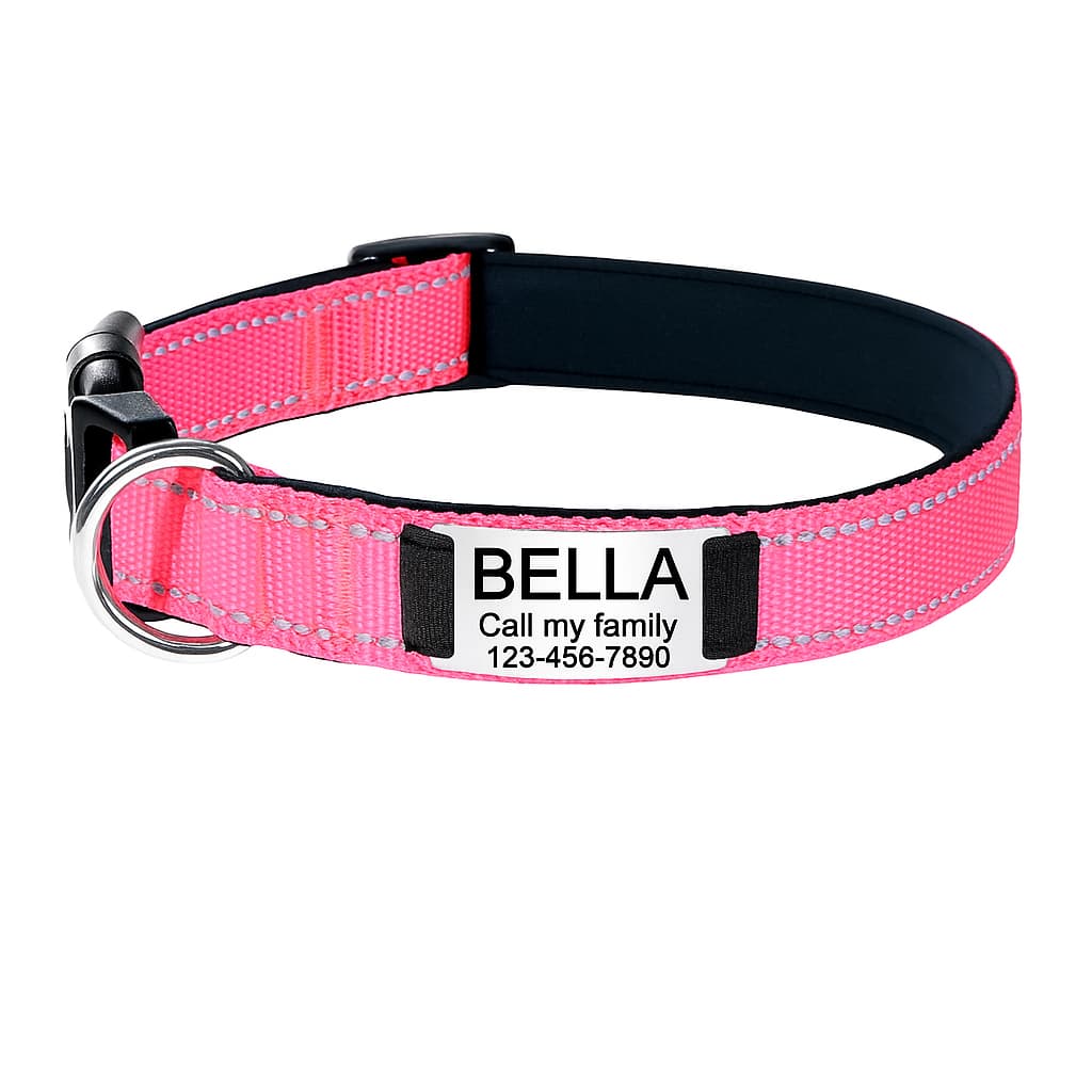 Collier Réfléchissant Personnalisé Pour Chien