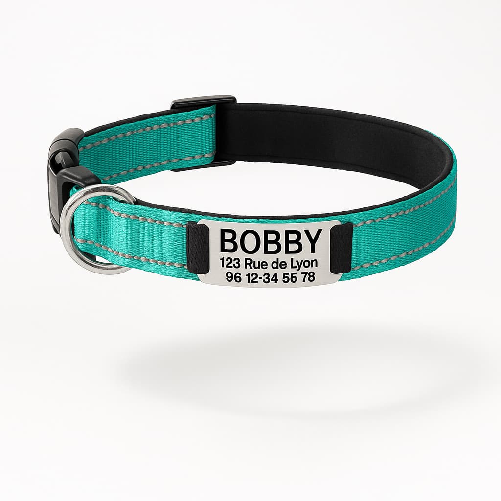 Collier Réfléchissant Personnalisé Pour Chien