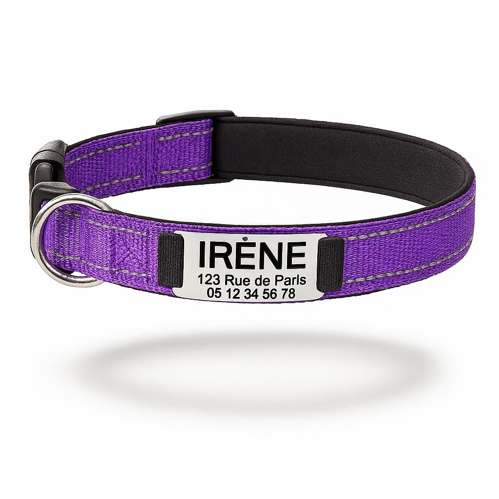 Collier Réfléchissant Personnalisé Pour Chien