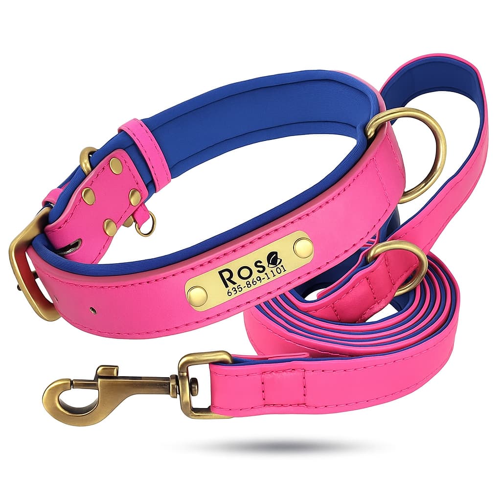 Ensemble De Laisse Et Collier En Cuir Pour Chien Personnalisé