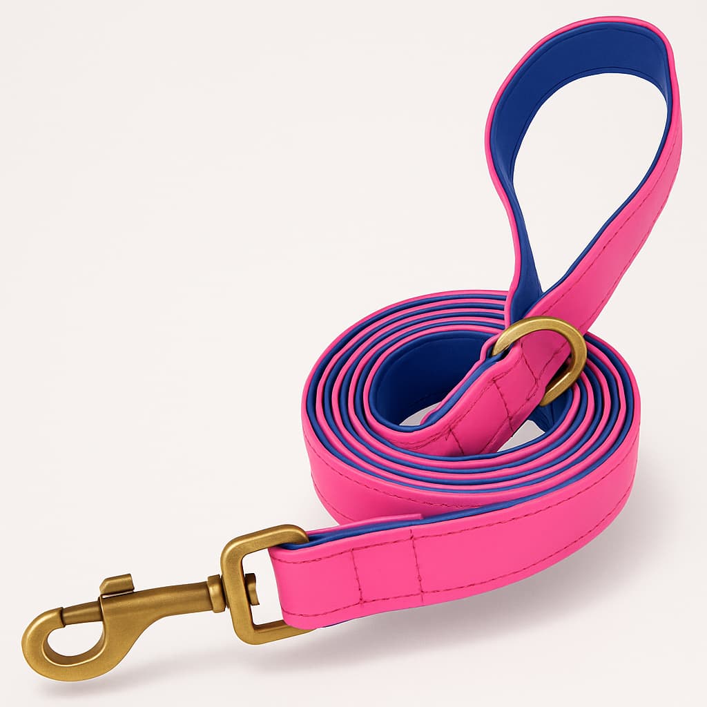 Ensemble De Laisse Et Collier En Cuir Pour Chien Personnalisé