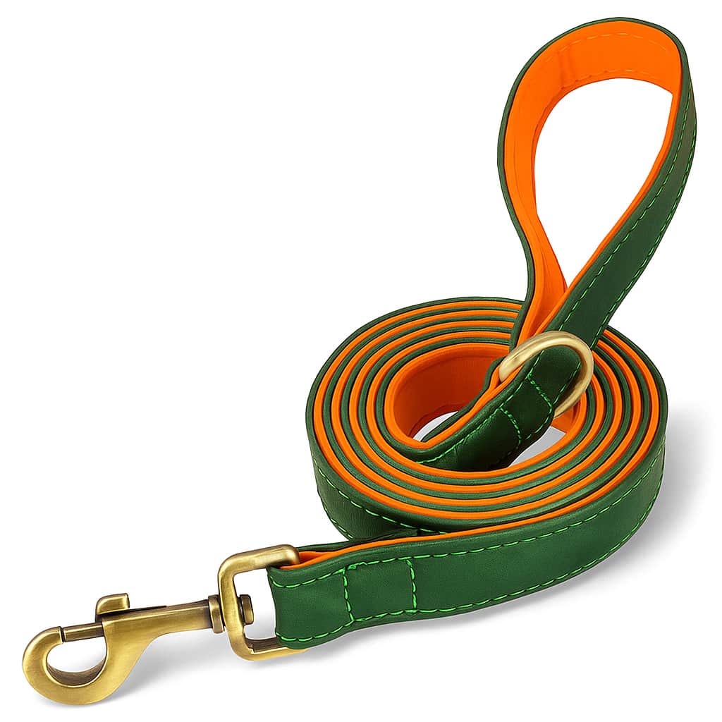 Ensemble De Laisse Et Collier En Cuir Pour Chien Personnalisé