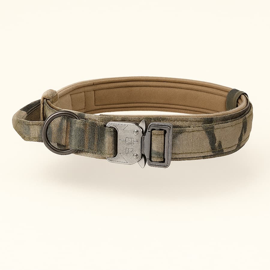 Harnais Tactique Pour Chien | Collier ou Ensemble Avec Laisse
