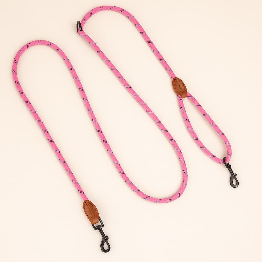 Laisse Mains Libre Pour Chien | Laisse Lasso