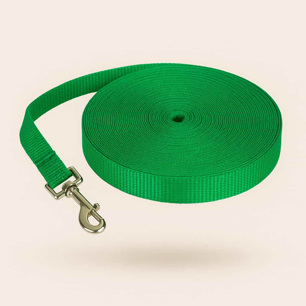 Longe Pour Chien 3 m