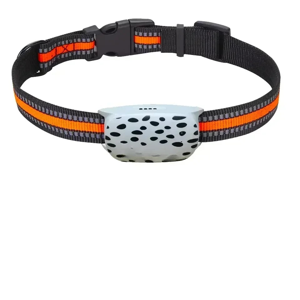 Collier GPS 4G Pour Chien