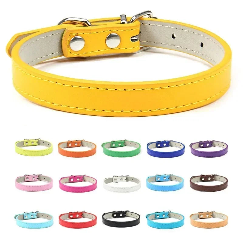 Collier Pour Chien En Cuir Coloré