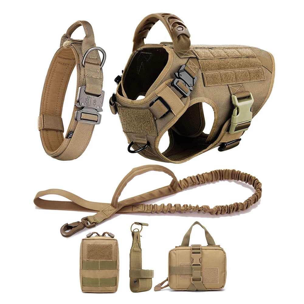 Harnais tactique pour chien avec collier, laisse et équipements
