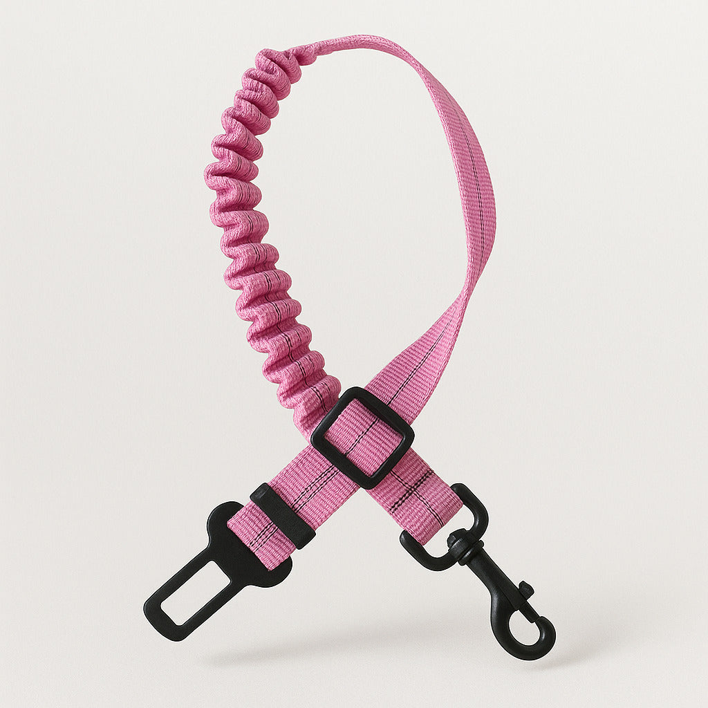 Ceinture De Sécurité Pour Chien Amortissante