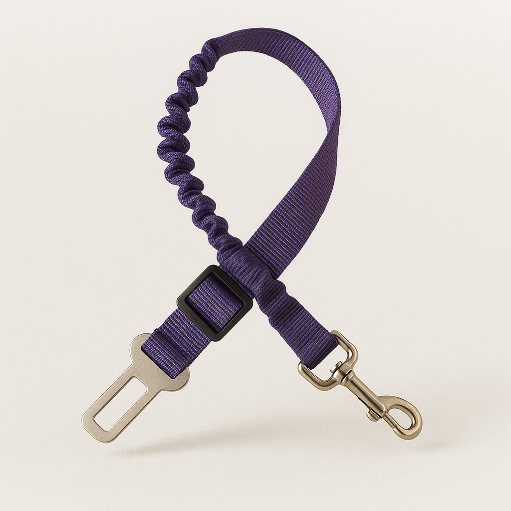 Ceinture De Sécurité Pour Chien Amortissante