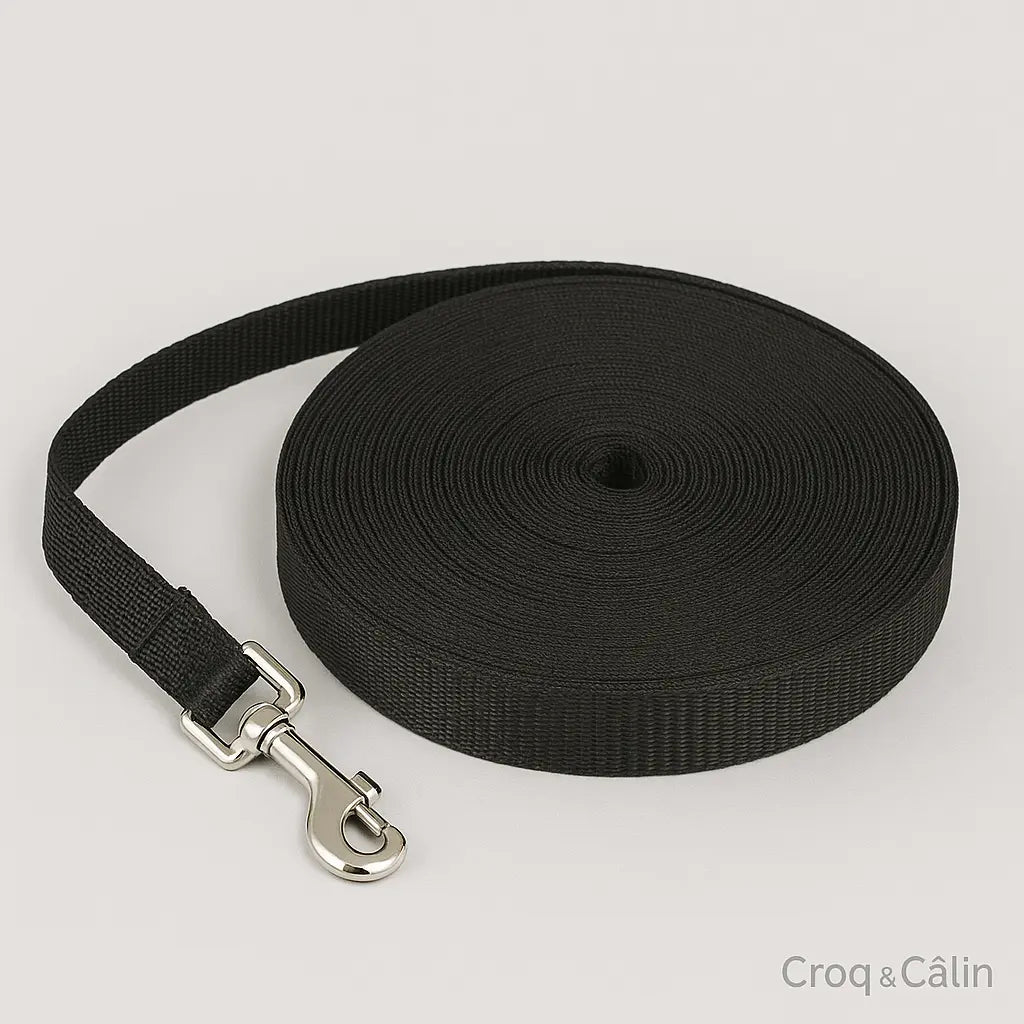 Longe Pour Chien 5 m