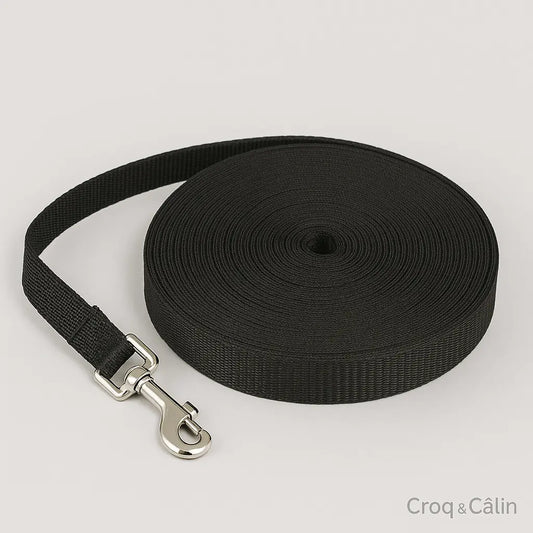 Longe Pour Chien 5 m