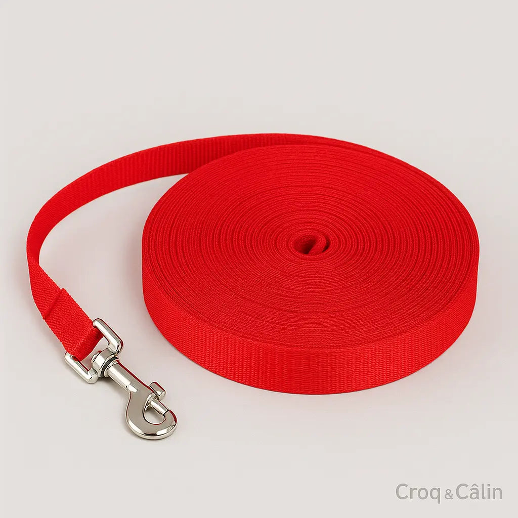 Longe Pour Chien 5 m