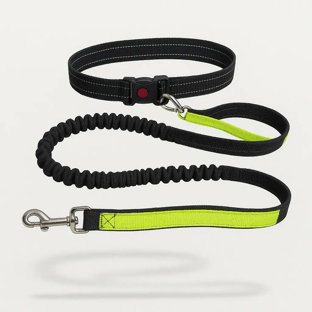 Ceinture Laisse Main Libre Pour Chien