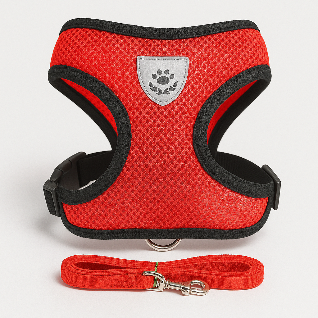 Harnais Pour Petit Chien Colorés