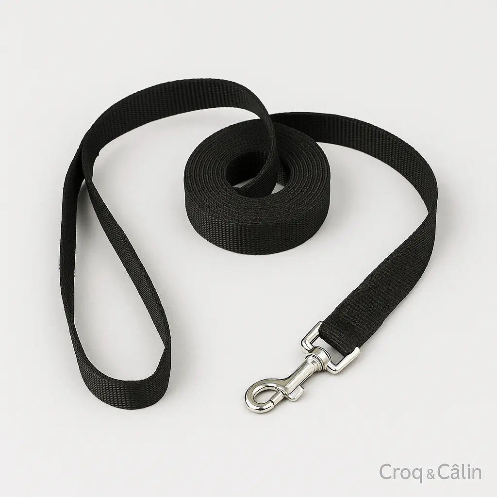 Longe Pour Chien 10 m