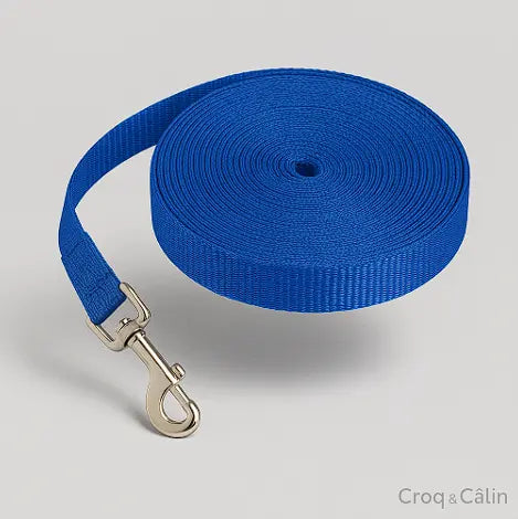 Longe Pour Chien 5 m