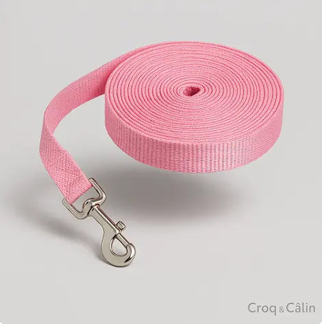 Longe Pour Chien 5 m