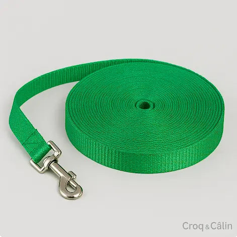 Longe Pour Chien 5 m