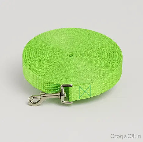 Longe Pour Chien 5 m