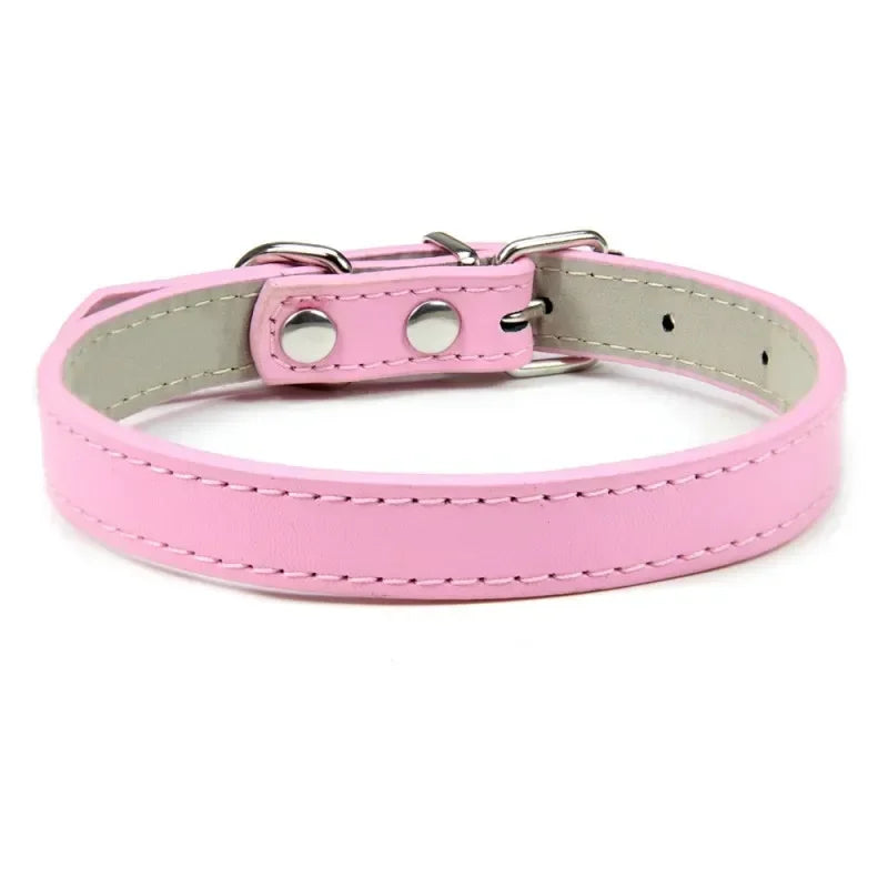 Collier Pour Chien En Cuir Coloré