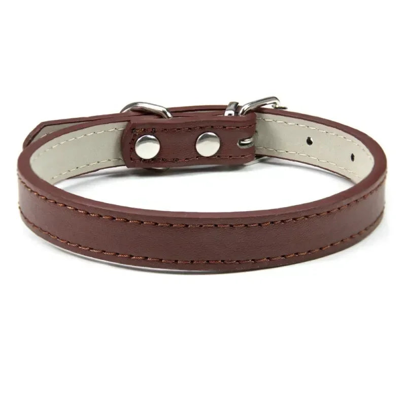 Collier Pour Chien En Cuir Coloré