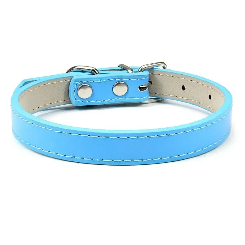 Collier Pour Chien En Cuir Coloré