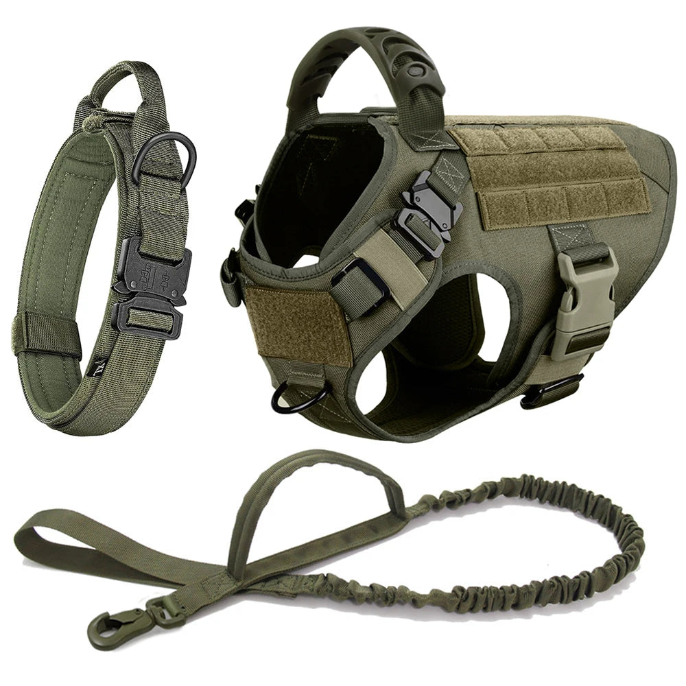 Harnais tactique pour chien avec collier, laisse et équipements