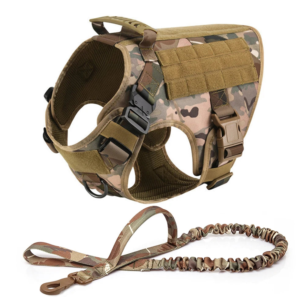 Harnais tactique pour chien avec collier, laisse et équipements