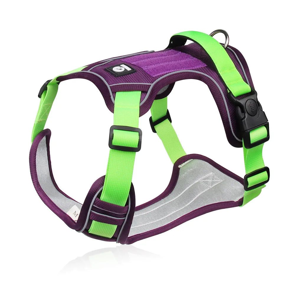 Harnais Pour Chien En Y Colorés