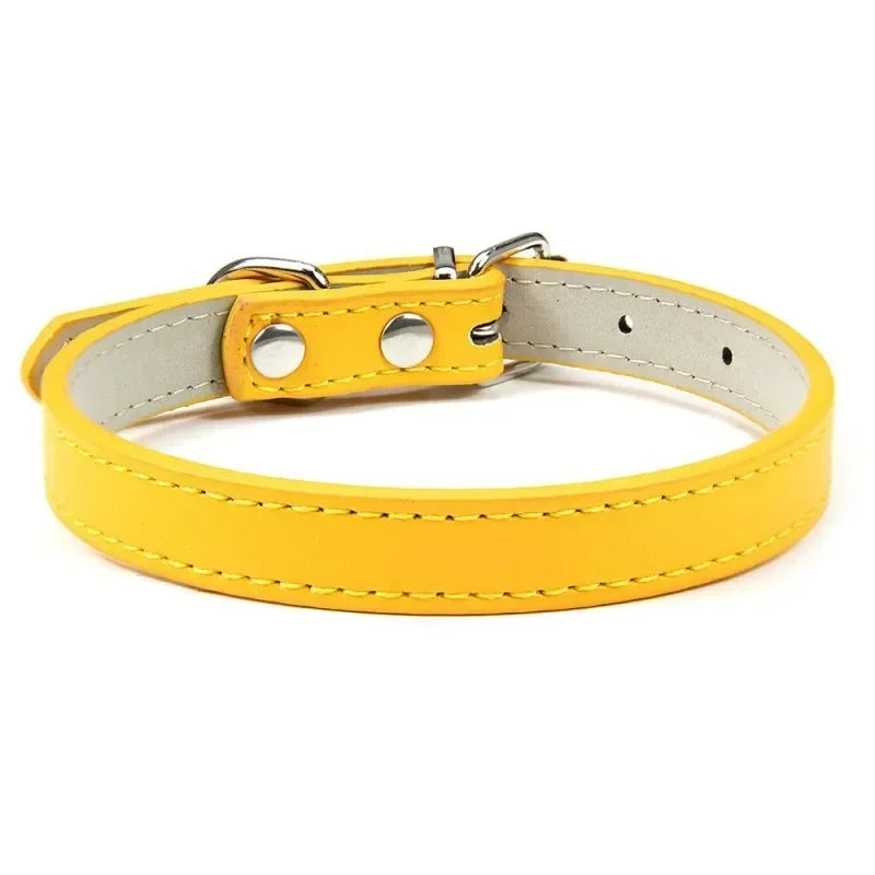 Collier Pour Chien En Cuir Coloré