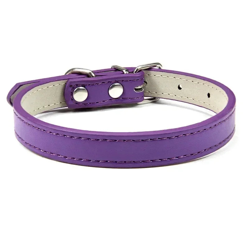 Collier Pour Chien En Cuir Coloré