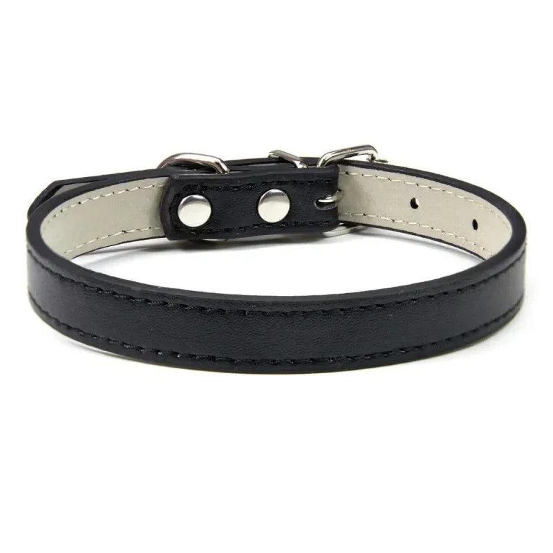 Collier Pour Chien En Cuir Coloré