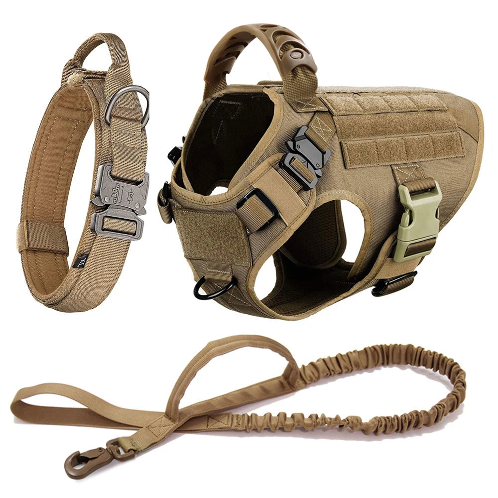 Harnais tactique pour chien avec collier, laisse et équipements
