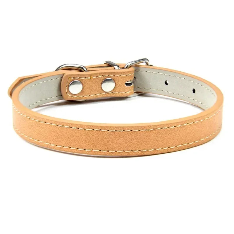 Collier Pour Chien En Cuir Coloré