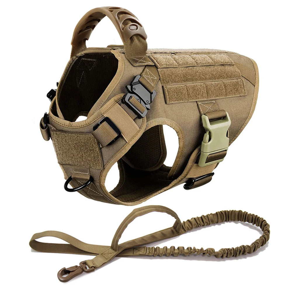 Harnais tactique pour chien avec collier, laisse et équipements