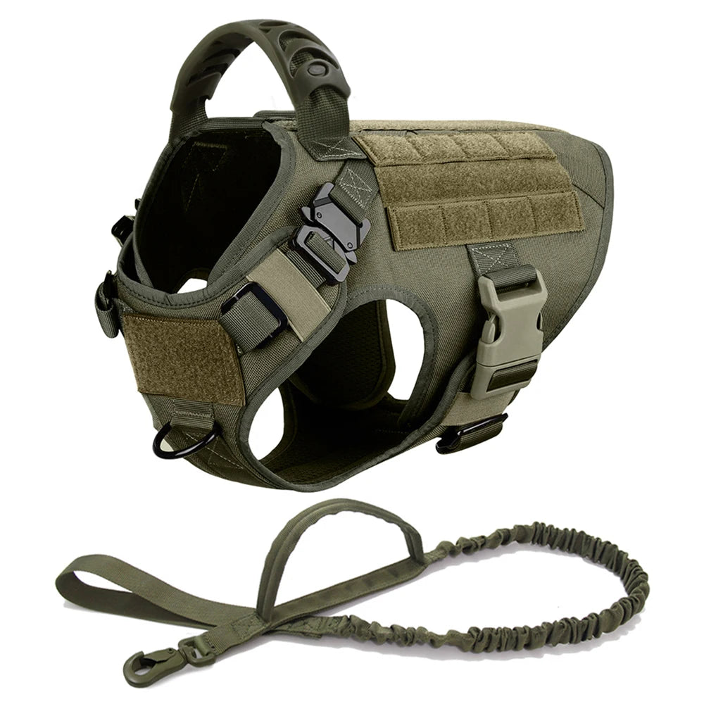 Harnais tactique pour chien avec collier, laisse et équipements