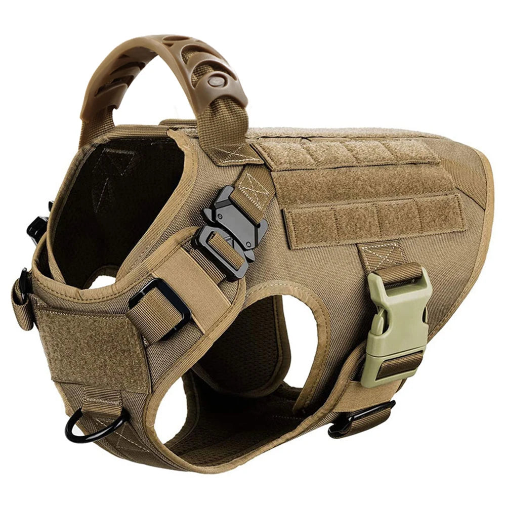 Harnais tactique pour chien avec collier, laisse et équipements