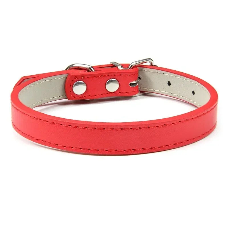 Collier Pour Chien En Cuir Coloré