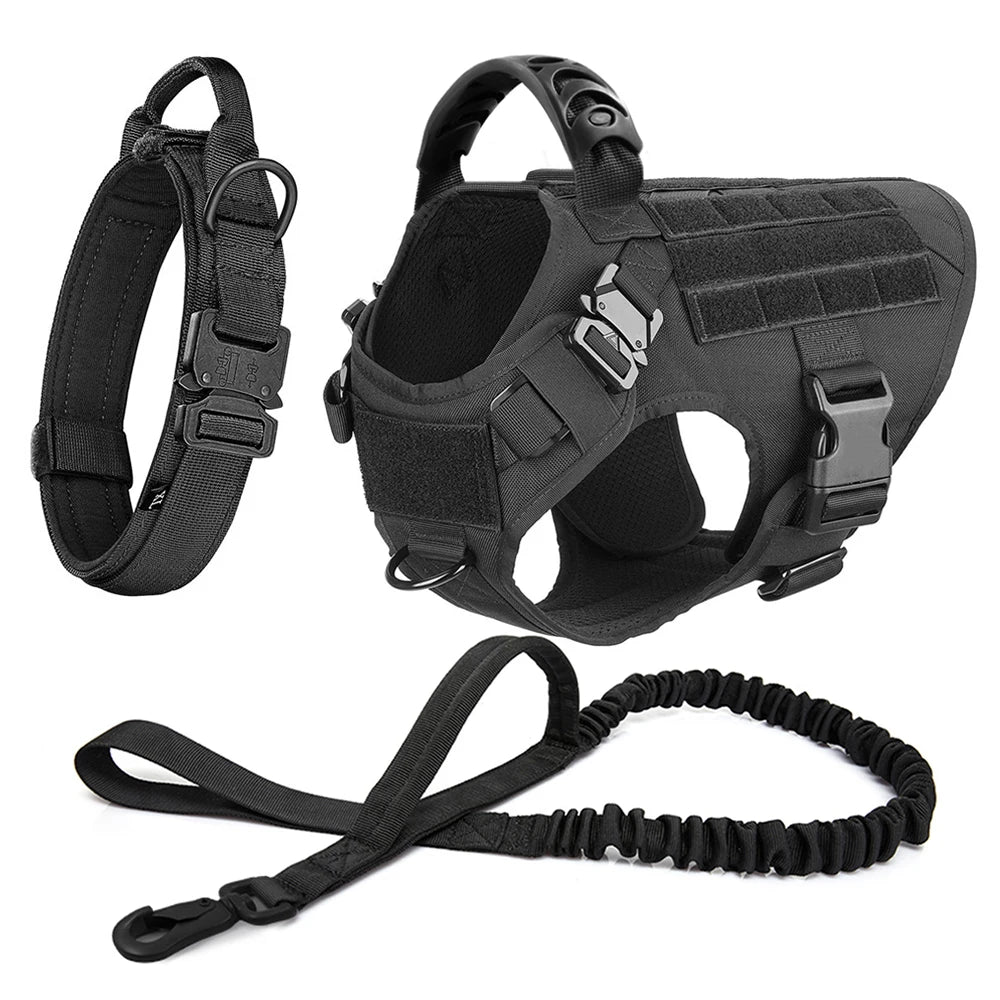 Harnais tactique pour chien avec collier, laisse et équipements